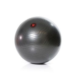 GYMSTICK EXERCISE BALL 55 CM