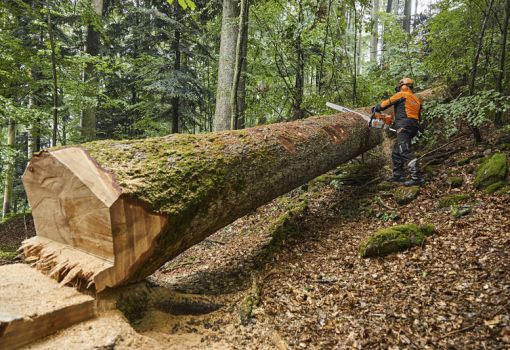 Iso moottorisaha: Katso top 5 järeimmät moottorisahat 