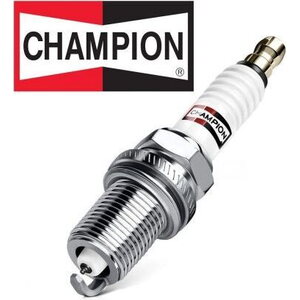 CHAMPION RJ19LM